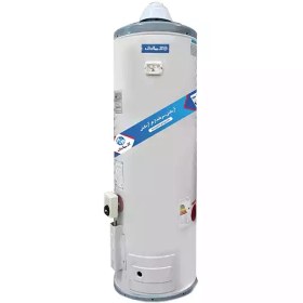 تصویر آبگرمکن گازی AZ60NR 