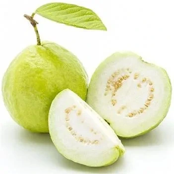 خرید و قیمت بذر گواوا سیبی زرد معطر داخل سفید | ترب