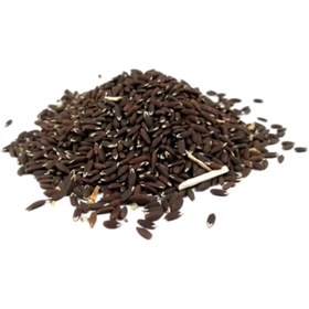 تصویر بزرک سیاه شهر طبیعت - 550 گرم 