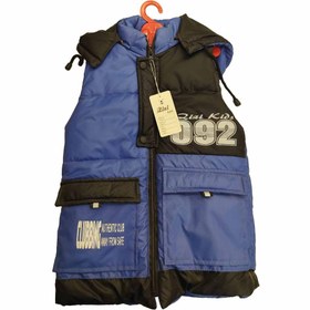 تصویر پافر بچگانه آبی 