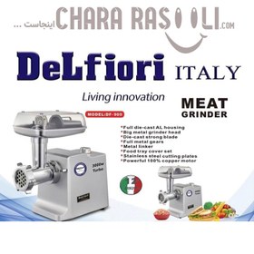 تصویر چرخ گوشت دلفیوری مدل DF900 ظرفیت ۳۰۰۰ وات گیربکسی 