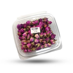 تصویر غنچه گل محمدی 