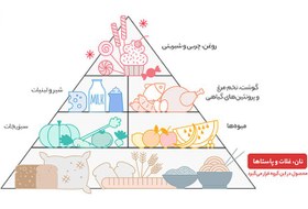 تصویر برنج طارم ممتاز گلستان - 4.5 کیلوگرم Golestan Permuim Tarom Rice - 4.5 Kg