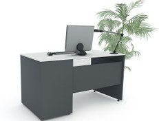 تصویر میز کارمندی هانیس 