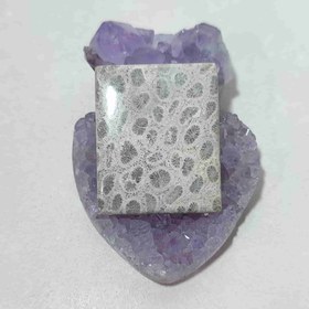 تصویر نگین مرجان فسیلی اصل کد 6 