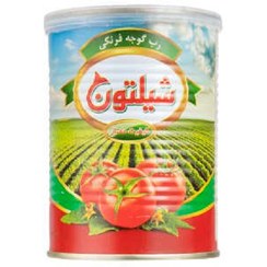 تصویر رب گوجه فرنگی 400 گرمی کلیدار شیلتون 