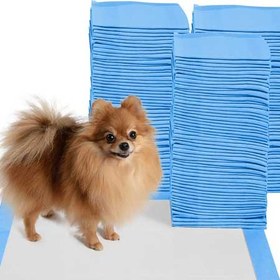 تصویر پد 10 عددی اقتصادی 60* 90 