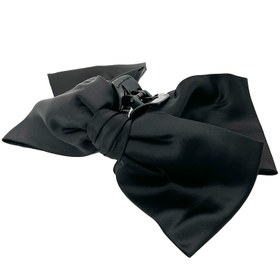 تصویر کلیپس پاپیون مشکی 