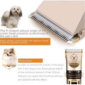 تصویر کیت اصلاح شارژی حیوانات خانگی (سگ و گربه) برند Chaoer بی صدا chaoer new handheld Rechargeable Pet trimmer clipper for cats and dogs with noiseless and ultra quiet design