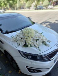 تصویر ماشین عروس کد ۵۱ 