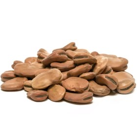 تصویر باقالی خشک 1 کیلویی 