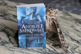 تصویر کتاب رمان انگلیسی بانوی دریاچه The Witcher 7 - The Lady Of The Lake By Andrzej Sapkowski کتاب رمان انگلیسی بانوی دریاچه The Witcher 7 - The Lady Of The Lake By Andrzej Sapkowski