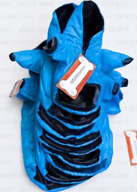 تصویر کاپشن سگ 