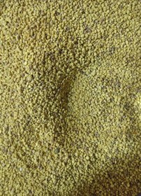 تصویر گرده گل ایرانی 