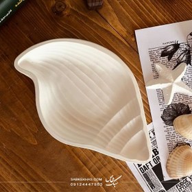 تصویر شات صدف حلزونی 