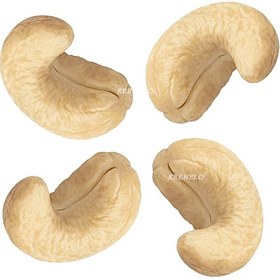 تصویر بادام هندی 