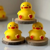 تصویر گیفت جوجه 