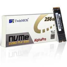 تصویر حافظه SSD توین موس TwinMos 256GB M.2 