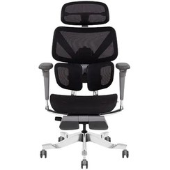 تصویر صندلی ارگونومیک مدل امرالد 