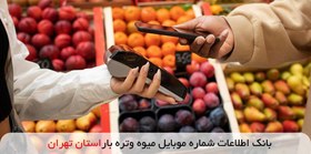 تصویر بانک اطلاعات شماره موبایل میوه و تره بار استان تهران 