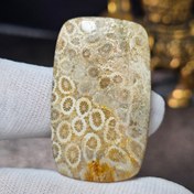 تصویر نگین درشت سنگ طبیعی فسیل مرجان معدنی کد 36252 