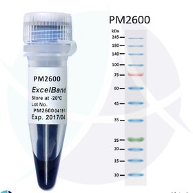 تصویر مارکر پروتئینی PM2600، رنج 9 تا 245 کیلو دالتون، سه رنگ pre-stained، محصول SMOBIO 