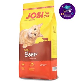 تصویر غذای خشک گربه جوسرا باطعم گوشت جوسی کت | Josicat Beef 