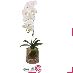 تصویر گلدون گل ارکیده سفید تک شاخه 
