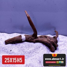 تصویر ریشه آبنوس 25 سانت کد H5 