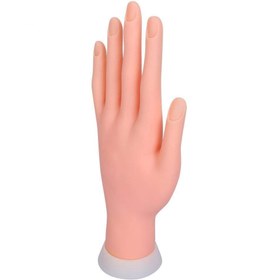تصویر دست سیلیکونی آموزشی 