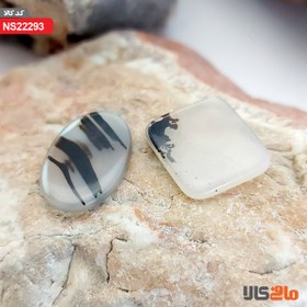 تصویر شجر هندی 