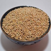 تصویر دون تقویتی مرغ عشق 