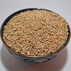 تصویر دون تقویتی مرغ عشق 