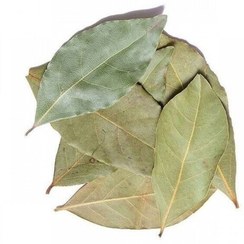 تصویر برگ بو اعلا خشک شده( بدون ساقه ) 