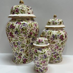 تصویر جینجرجار گل بهاری 