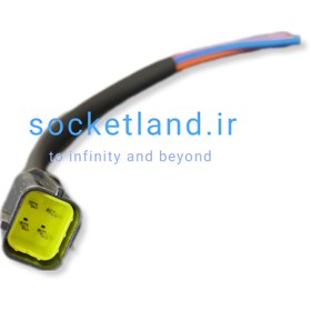 تصویر سوکت چهار فیش زیمنس مادگی socket