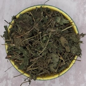 تصویر گزنه گل‌جیل 