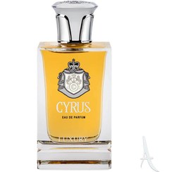 تصویر ادوپرفیوم مردانه لاکشری (Luxury) مدل Cyrus عطر و ادکلن (UNISEX) 100 میلی لیتر