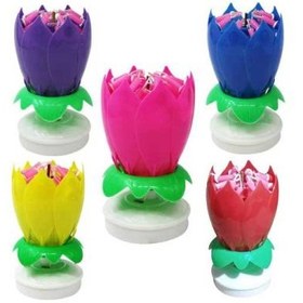 تصویر دلمه پیچ اختاپوس مدل 1605 