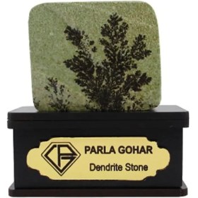 تصویر سنگ شجر فسیلی (دندریتی ) کد 2349 