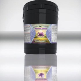 تصویر کود زعفران بمب 