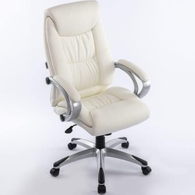 تصویر Danube Home Trenvi Swivel High Back Office Chair Ergonomic Gaming Chair I Modern Home Computer Chair I 360? Swivel Pu Leather Office Chair I Executive Chair L 74.5 X W 64.5 X H 109 Cm (White) - ارسال 15 الی 20 روز کاری 