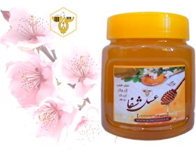 تصویر ژل رویال و عسل طبیعی (10 گرم در نیم کیلو) 