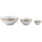 تصویر سرویس پیاله چینی زرین ایران مدل گلستان ۱۳ پارچه 