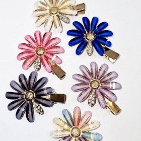 تصویر گیره سر گل 