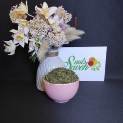 تصویر ترخون خشک - ساوه ناتس 