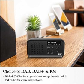 تصویر رادیو دیجیتالی مدل D9 برند Pinci Pinci digital radio D9