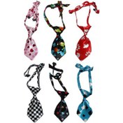 تصویر کراوات سگ و گربه کراوات