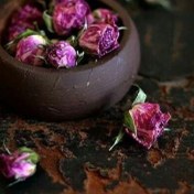 تصویر غنچه گل سرخ 