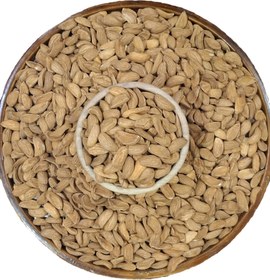 تصویر بادام مامایی 